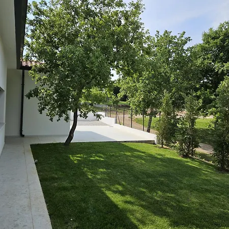 Lyra - Modern 4-star In Istria Вилла Sinozici